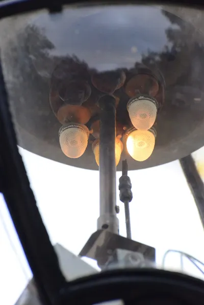 DSC_0617 (Large).JPG